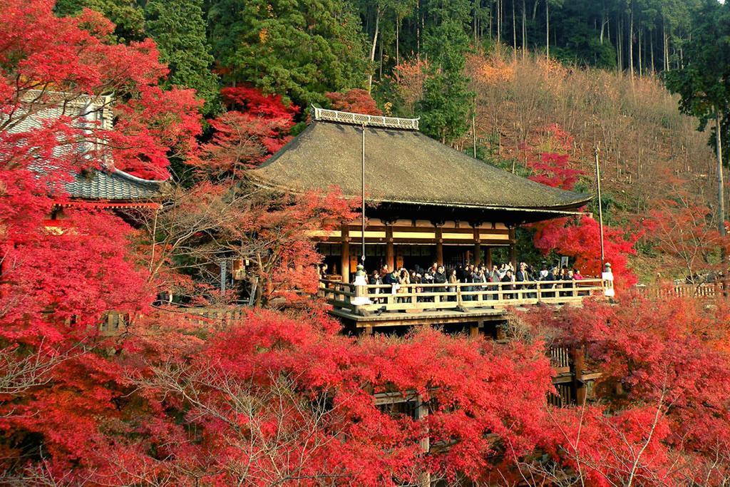 Rin Kyoto Kinkaku-Ji Temple Villa Exteriör bild
